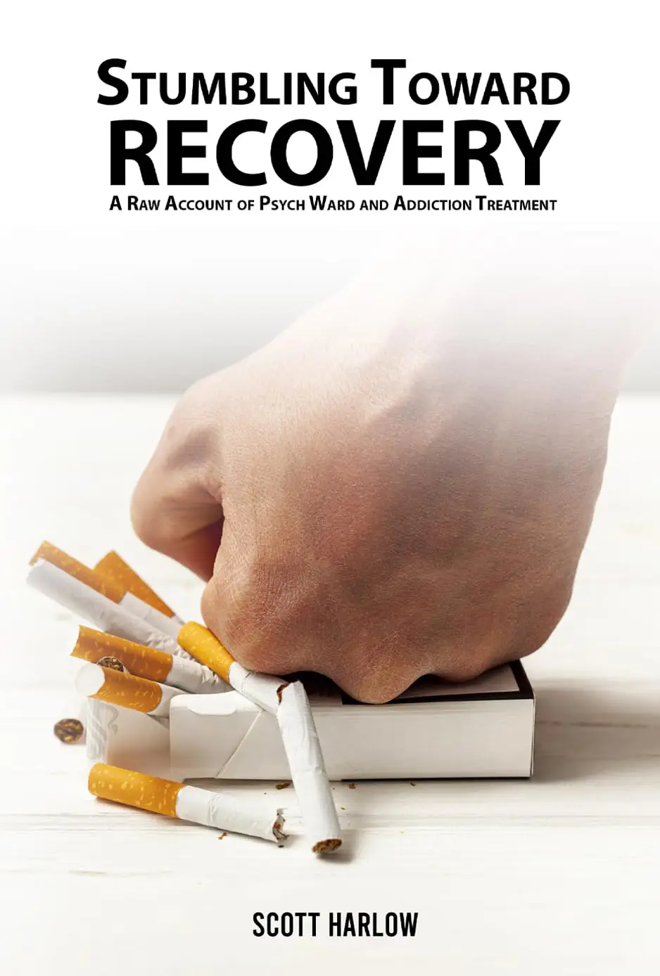 stumbling toward recovery official book
